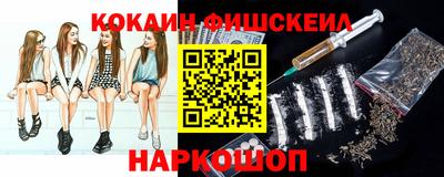 крисы Моздок