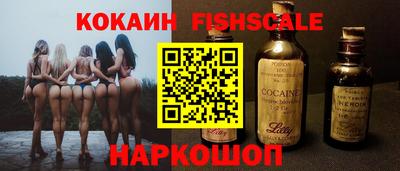 крисы Моздок