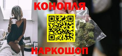 крисы Моздок